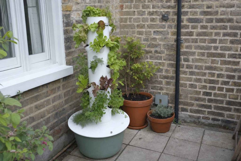 A vertical tower garden growing salad and herbs on a small UK patio