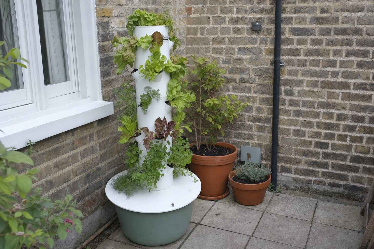 A vertical tower garden growing salad and herbs on a small UK patio
